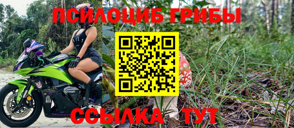 продажа наркотиков  Вход с VPN  Клин  Галлюциногенные грибы мицелий  Галлюциногенные грибы Psilocybine cubensis 