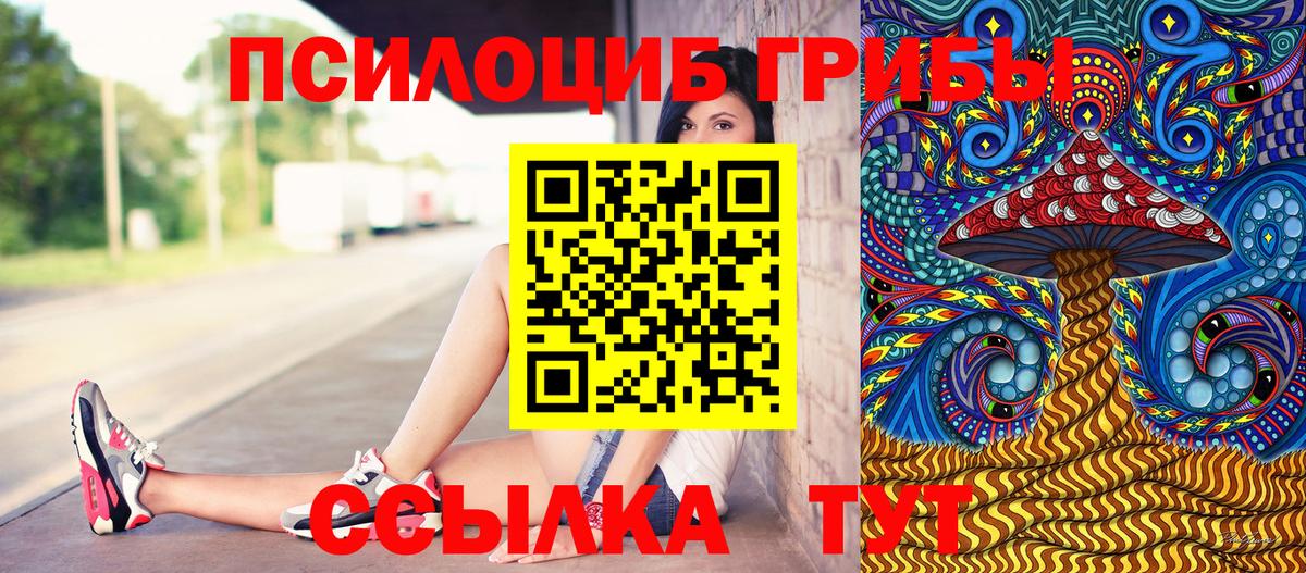 Псилоцибиновые грибы Psilocybe Клин