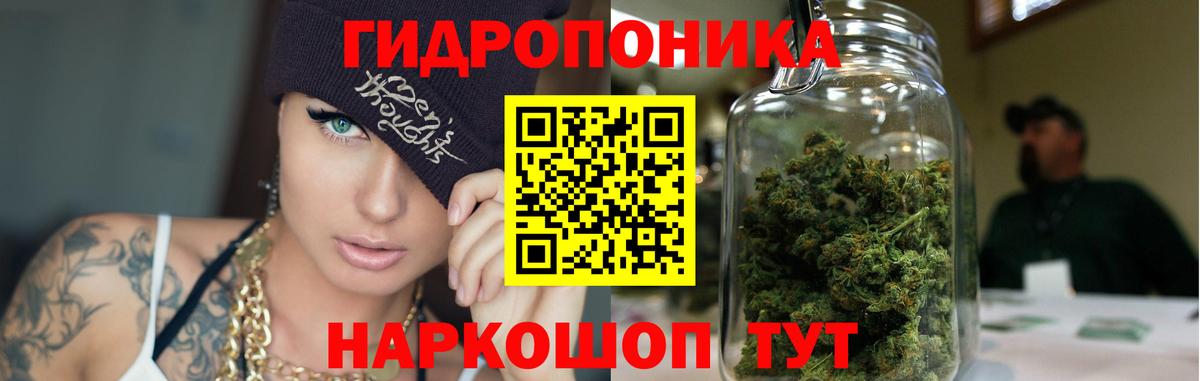 Шишки марихуана гибрид Клин